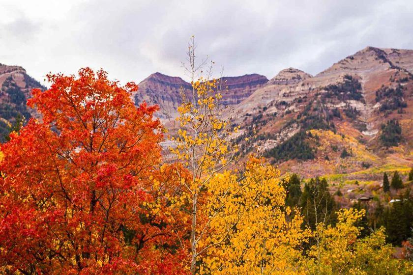 Log Cabin On The Stream Sundance, Utah Экстерьер фото
